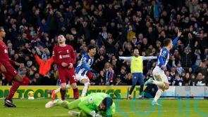 Brighton march above Liverpool in table with stunning home victory