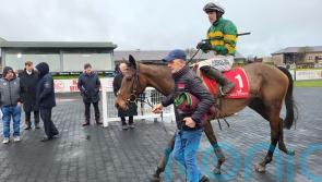 Impervious impresses with gutsy Punchestown success