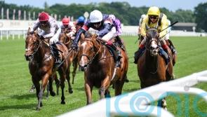 Sir Busker handed Neom Turf Cup target