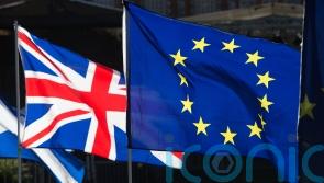 Framework for way forward could emerge from upcoming NI Protocol talks, says Irish MEP