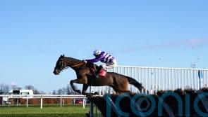 Conditions key to Rare Edition&rsquo;s Haydock hopes