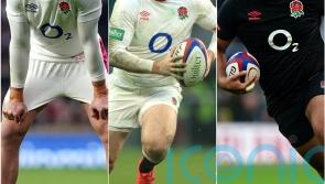 Elliot Daly among England squad winners as Billy Vunipola and Jonny May lose out