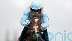 No rush for Red Risk plans after Kempton near-miss