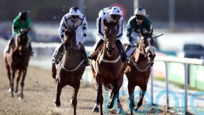 No stopping Loughnanes again at Wolverhampton