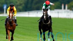 Winter Derby-bound Pyledriver still Dwyer&rsquo;s ride when he returns from injury