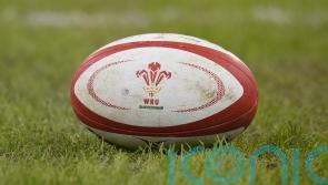 WRU facing allegations of sexism and discrimination following BBC investigation