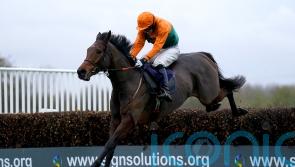 Henry Daly happy to bypass Festival options with Blenkinsop