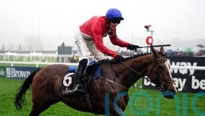 Sir Gerhard enters Cheltenham reckoning after victorious return