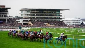Cheltenham to inspect on Friday for Trials Day