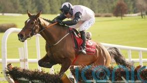 Teahupoo advertises Stayers&rsquo; claims with Galmoy glory