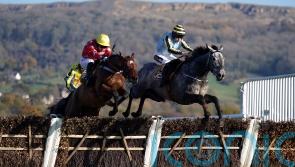 Harris backing Scriptwriter to produce winning performance