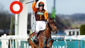 Noble Yeats aiming to underline Gold Cup claims in Cotswold trial