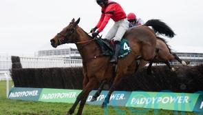 Ahoy Senor back to his best for emotional Cotswold Chase success