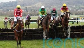 Comfort Zone edges Scriptwriter in informative Triumph trial