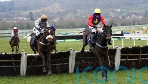 Gold Tweet hits the jackpot for France in Cleeve Hurdle
