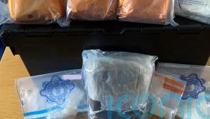 Cocaine seized by police in Co Wicklow