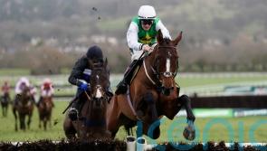 Weveallbeencaught poised for Leopardstown raid