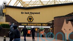 Joao Gomes joins Wolves