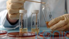 Probe after salmonella found in eight poultry flocks