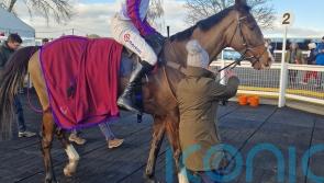 Half Dozen reasons to be happy for Nicholls at Hereford