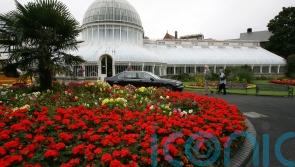 Teenager stabbed in legs and groin at popular tourist attraction in Northern Ireland&nbsp;