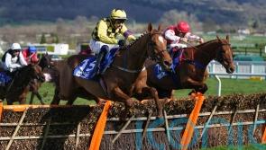 Fowler lining up Betfair Hurdle bid for Colonel Mustard
