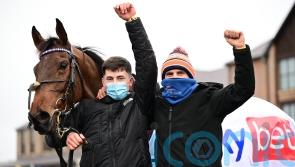 Ronan McNally handed 12-year ban by Irish Horseracing Regulatory Board