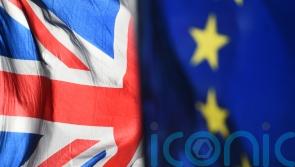 No 10: &lsquo;Lots of work&rsquo; still needed to resolve Northern Ireland Protocol row