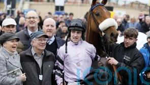 Owners Group looking forward to festival targets