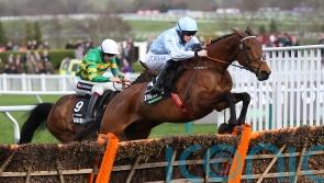 Honeysuckle team happy to have Cheltenham finale