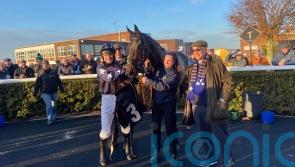 Dysart Enos floors Queens Gamble in smart Market Rasen bumper