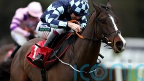 Chasing Fire has sparked Supreme ambitions for Murphy