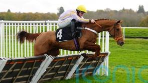 Luccia ready to light up Exeter in pre-Cheltenham prep