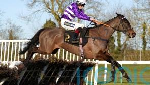 Cheltenham run not ruled out for Rare Edition