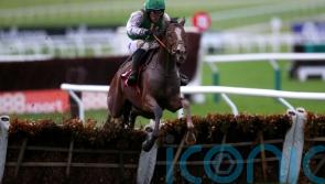 John McConnell readying strong Cheltenham team