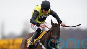 Aucunrisque may be back out quickly in Kingwell Hurdle