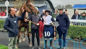 Festival hope Hiddenvalley Lake bids to book Albert Bartlett ticket