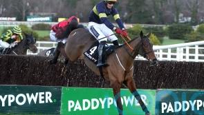 Definite decision yet to be made on Arkle for Final Orders