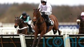 Bay back on form with Ascot verdict