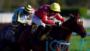 Scriptwriter&rsquo;s owner Adams will be back on more familiar ground this weekend