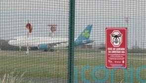 Drone activity temporarily halts flights at Dublin Airport