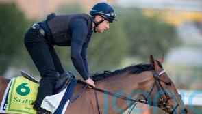 Boughey eyeing Saudi riches with Missed The Cut