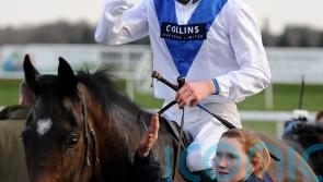 Cheltenham ruled out for leading French juvenile St Donats