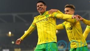 Brilliant Brazilians Gabriel Sara and Marquinhos seal Norwich win over Cardiff