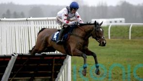 Hermes Allen backed for Ballymore glory