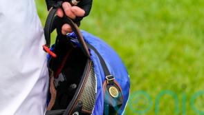 Second horse disqualified under new whip rules