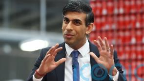 Stormont brake &lsquo;not really a brake&rsquo;, says DUP MP critical of Sunak&rsquo;s deal