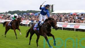 Real World all set for Jebel Hatta reappearance this weekend