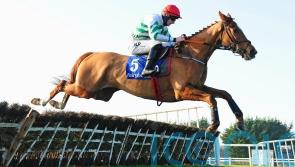 Zanahiyr likely to take on Constitution Hill in Champion Hurdle