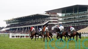 Cheltenham Festival in mind for Endless Escape